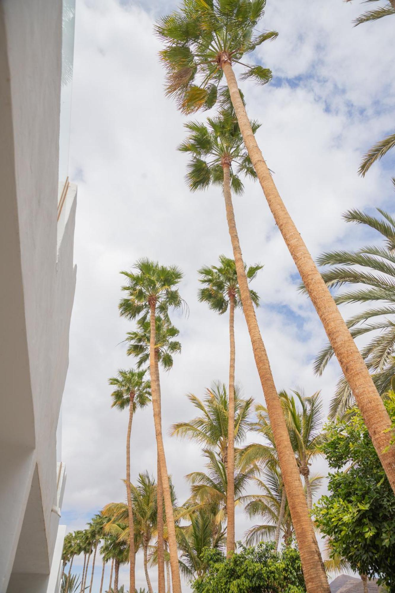 Palm Beach Fuerteventura Tarajalejo Eksteriør billede