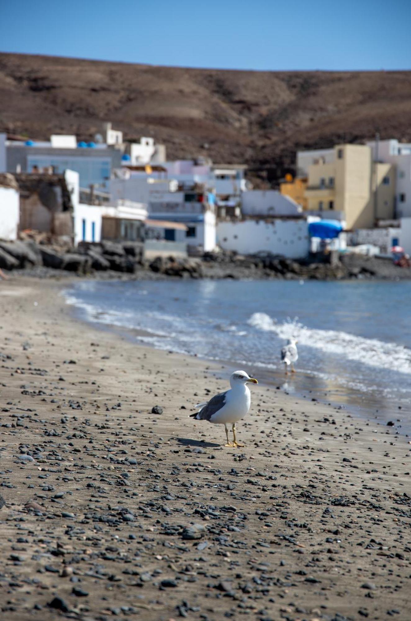 Palm Beach Fuerteventura Tarajalejo Eksteriør billede